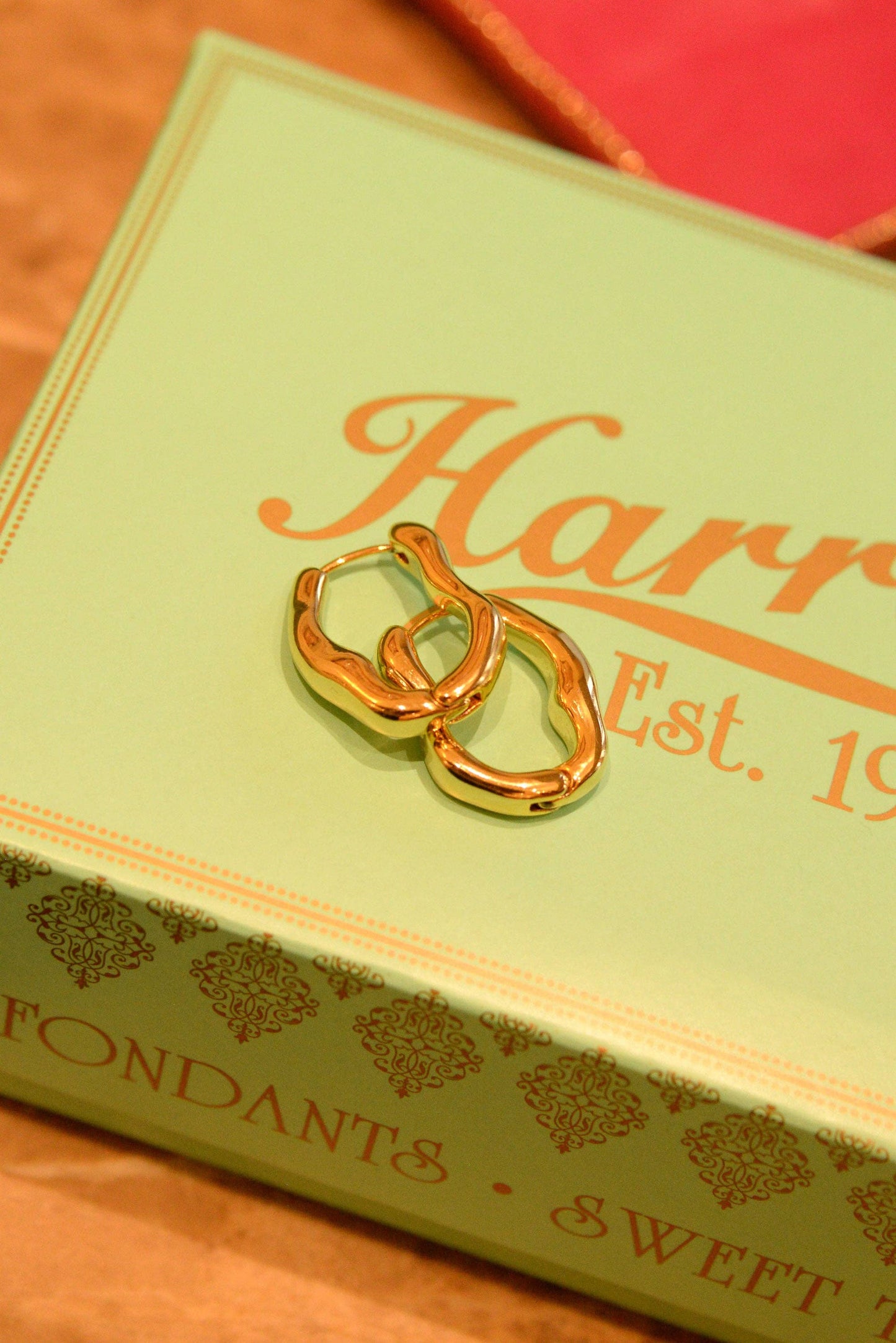 OBLONG WIGGLE GOLD EARRING